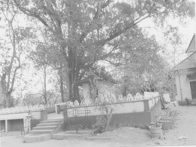 old pivture 04